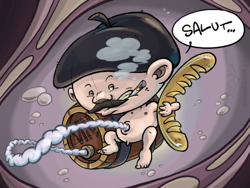 französischer Embryo - Illustration: www.nilseckhardt.com 006_franzEmbryo
