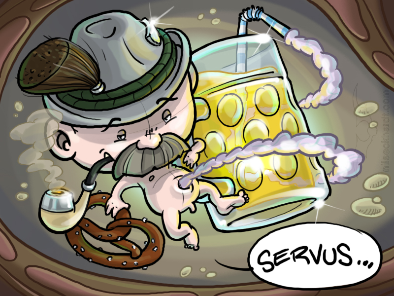bayrEmbryo - Illustration: www.nilseckhardt.com