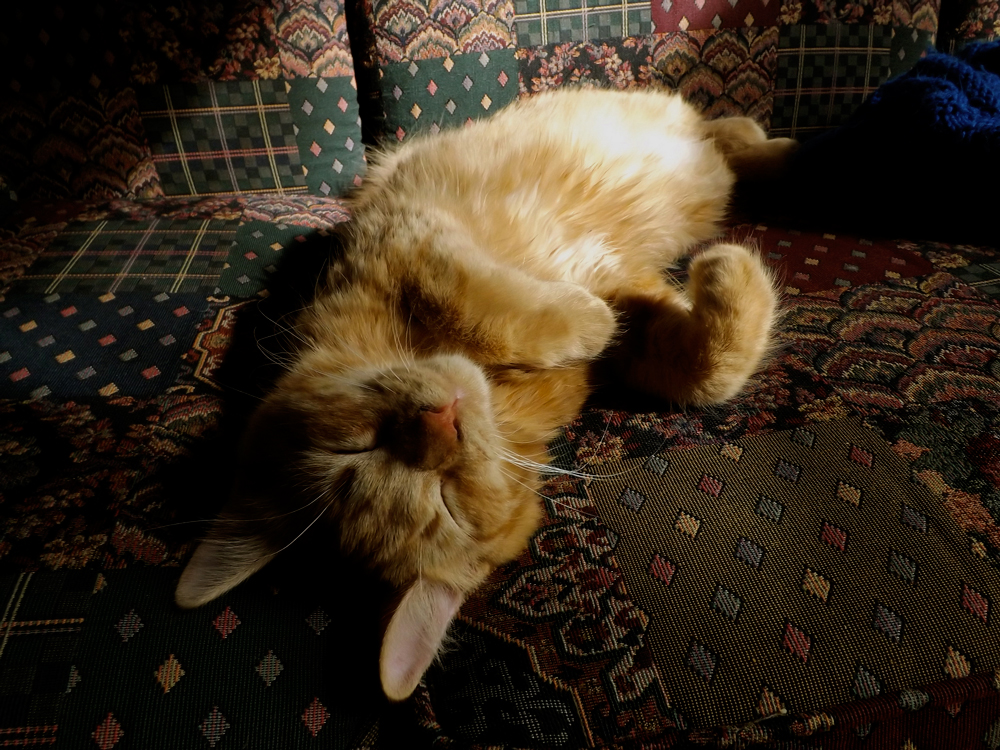 couchpotatoe