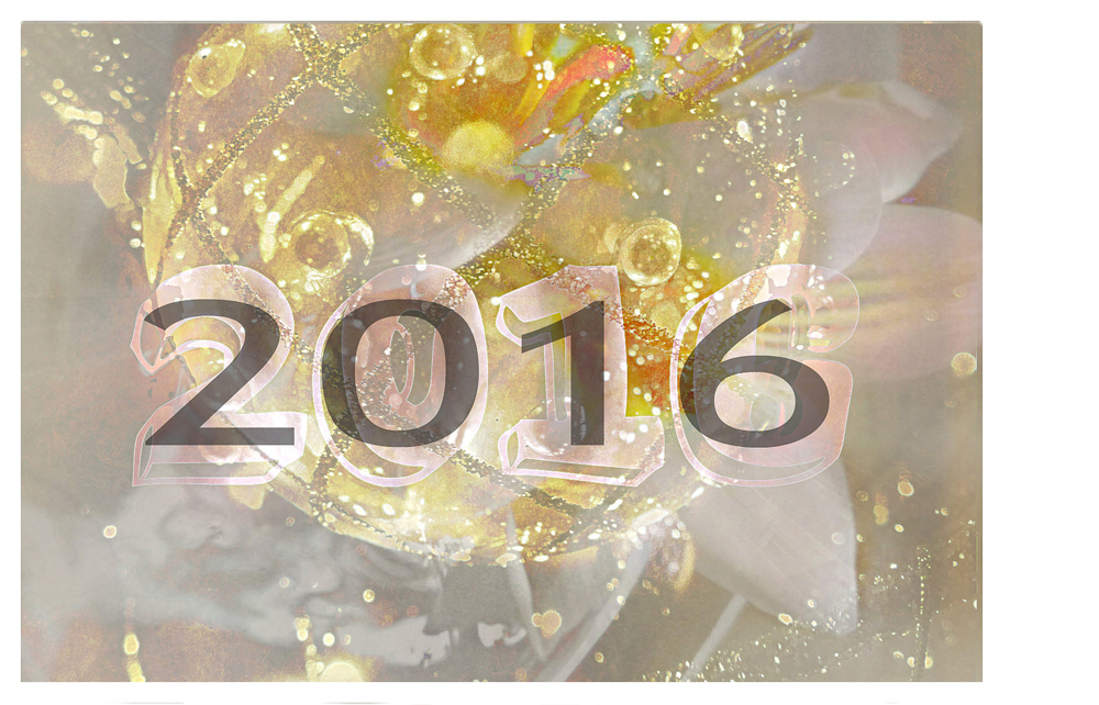 2016_julie_johnson