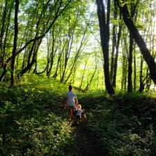 die natur im frühling mit kindern entdecken