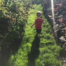 Zwei Jahre: Das Wunder des Lebens Sandras Sohn käuft in der Sonne durch den Garten nach einer glücklichen Schwangerschaft ohne Alkohol